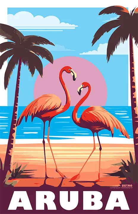 Aruba Flamingos