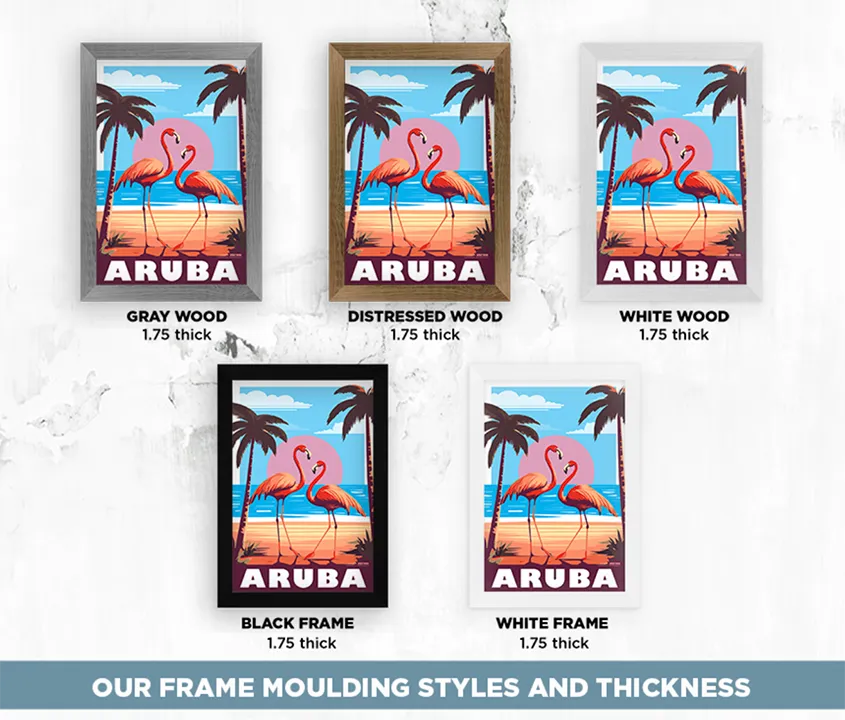 Aruba Flamingos