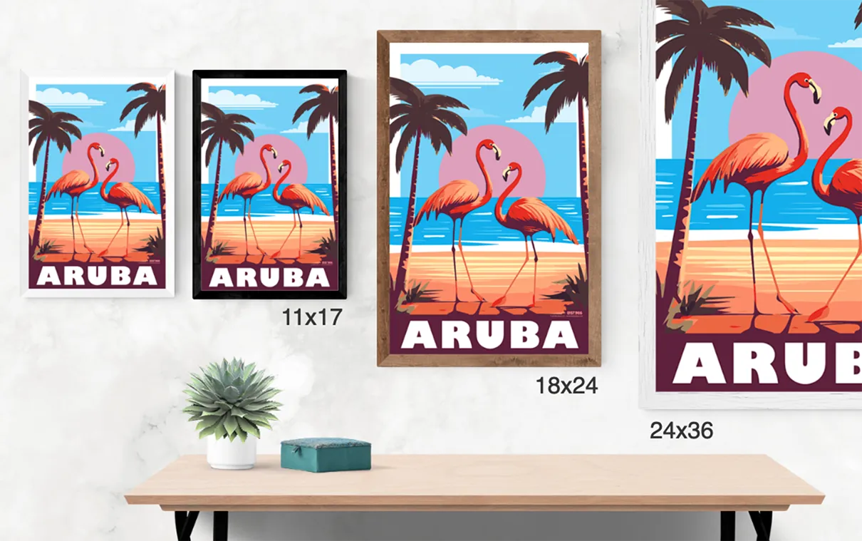 Aruba Flamingos