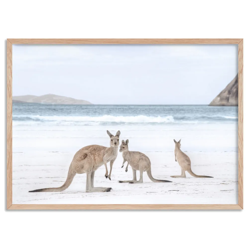 Coastal Beach Kangaroos II - Art Print