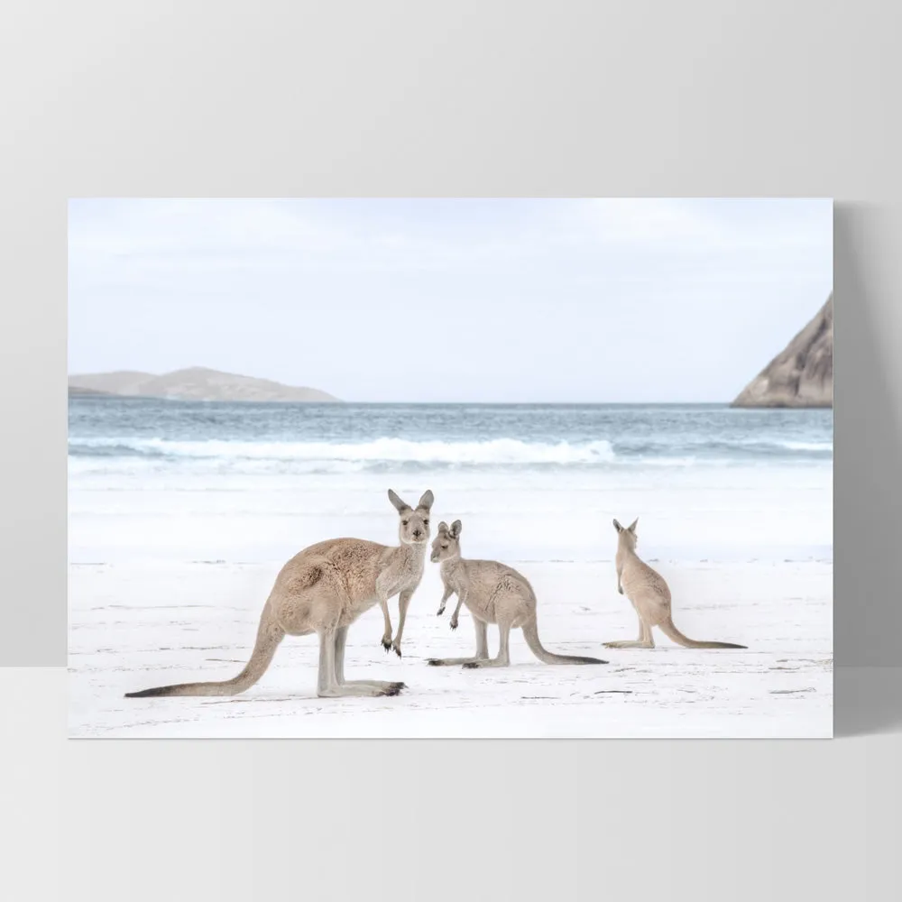 Coastal Beach Kangaroos II - Art Print