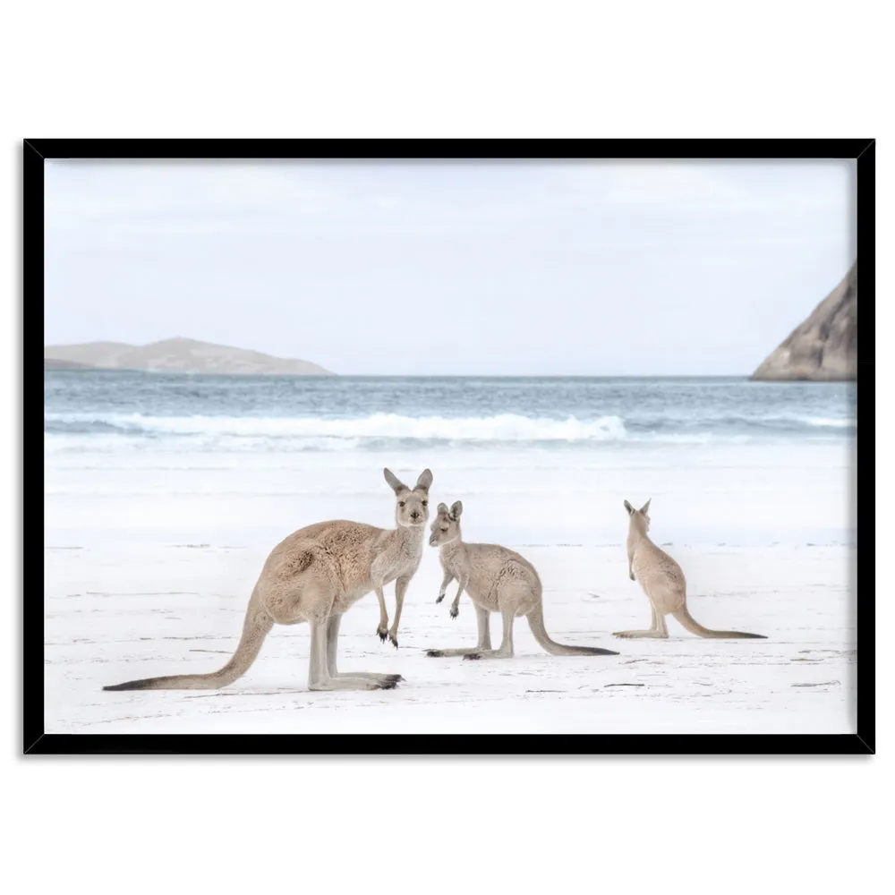 Coastal Beach Kangaroos II - Art Print