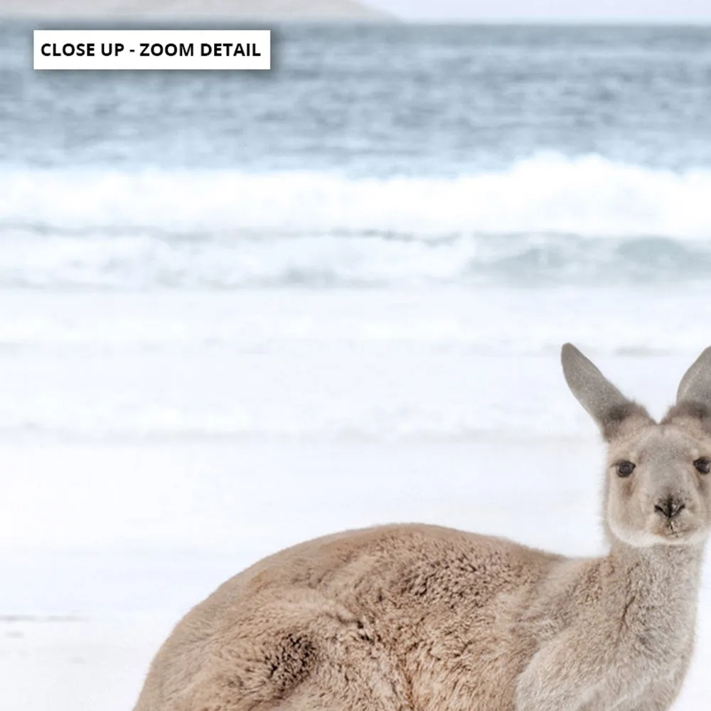 Coastal Beach Kangaroos II - Art Print