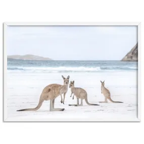 Coastal Beach Kangaroos II - Art Print