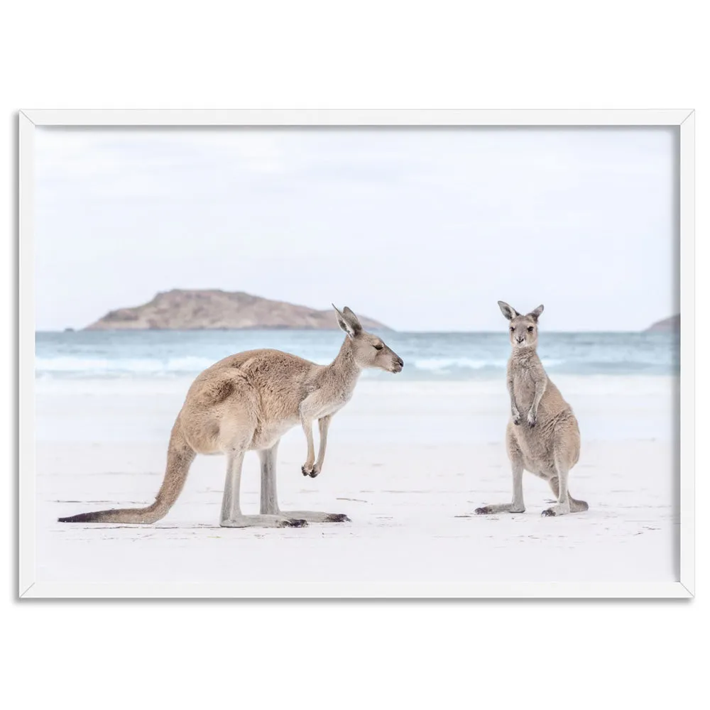 Coastal Beach Kangaroos III - Art Print