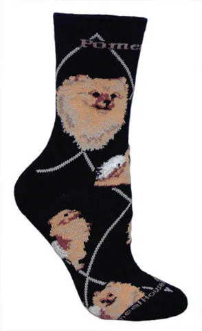 Wheel House Designs Pomeranian on Black Sock